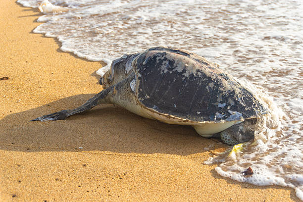 Wie wirkt sich Stress täglich auf deinen Körper aus?